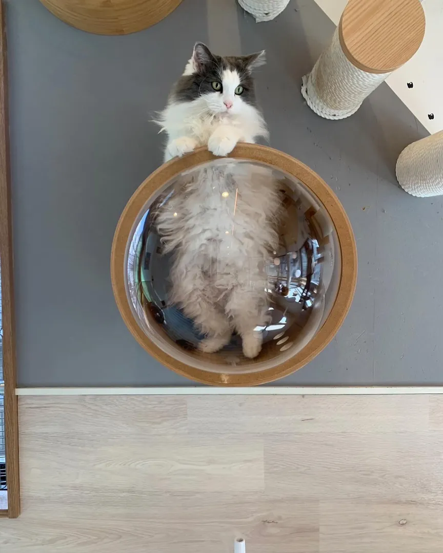投稿の写真2
