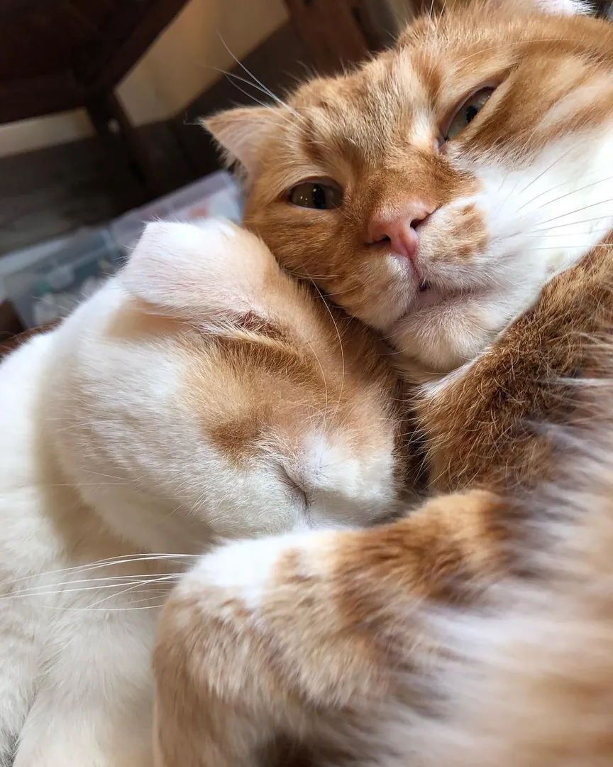 投稿の写真2