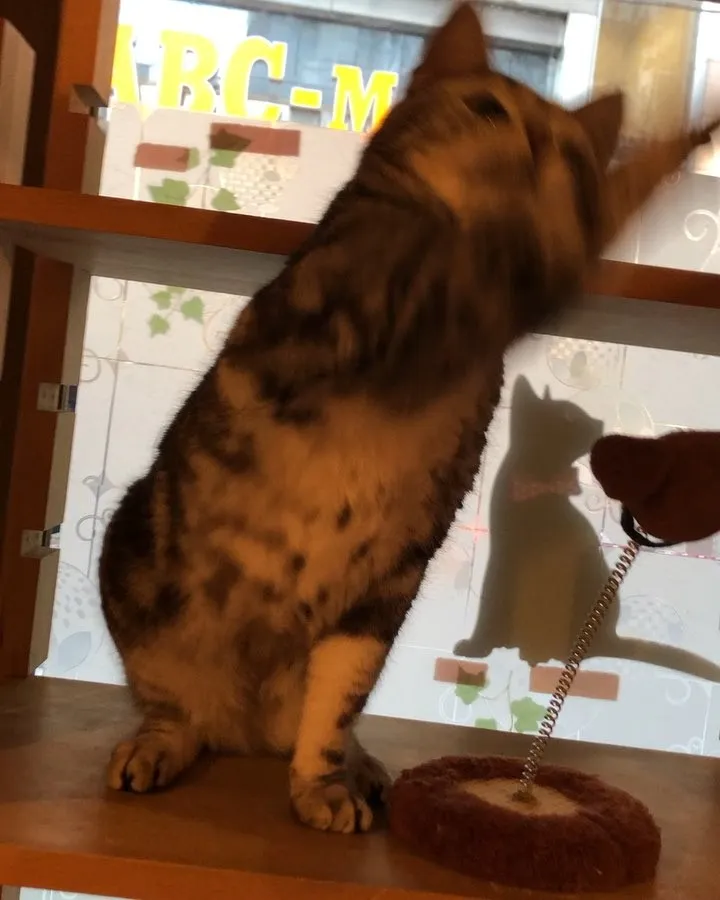 投稿の写真2