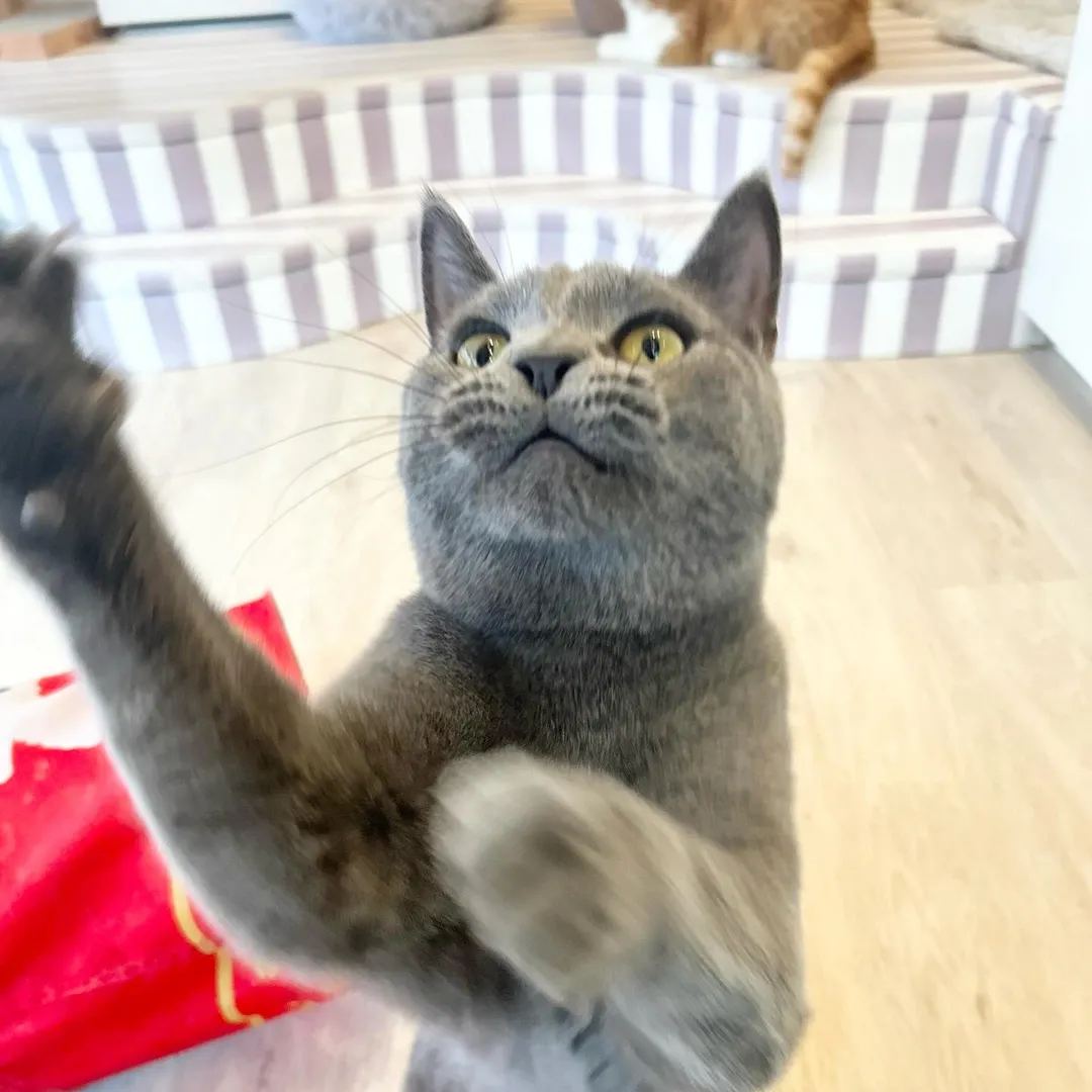 投稿の写真2