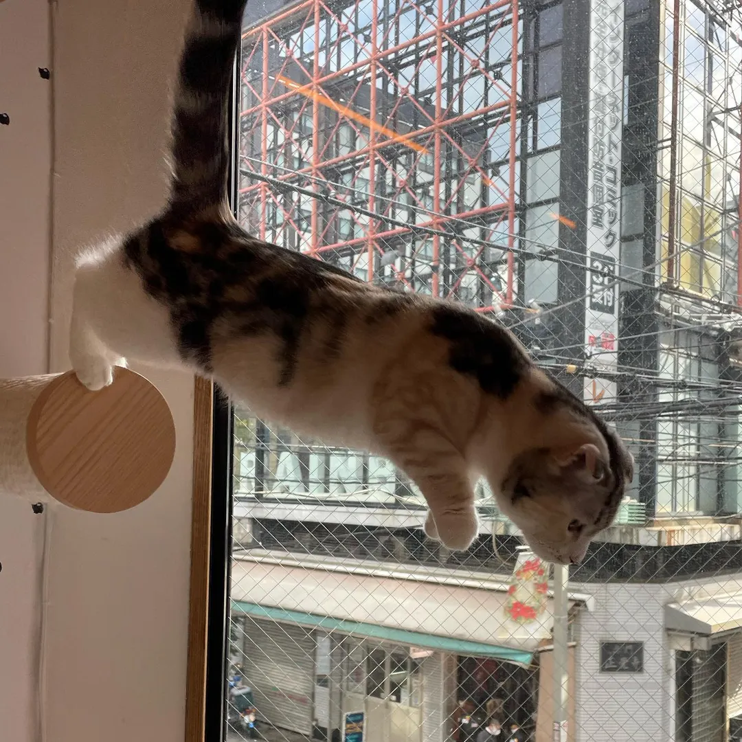投稿の写真5