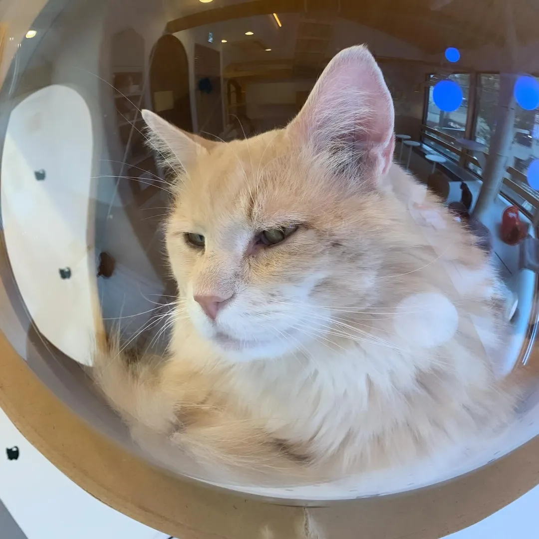 投稿の写真7