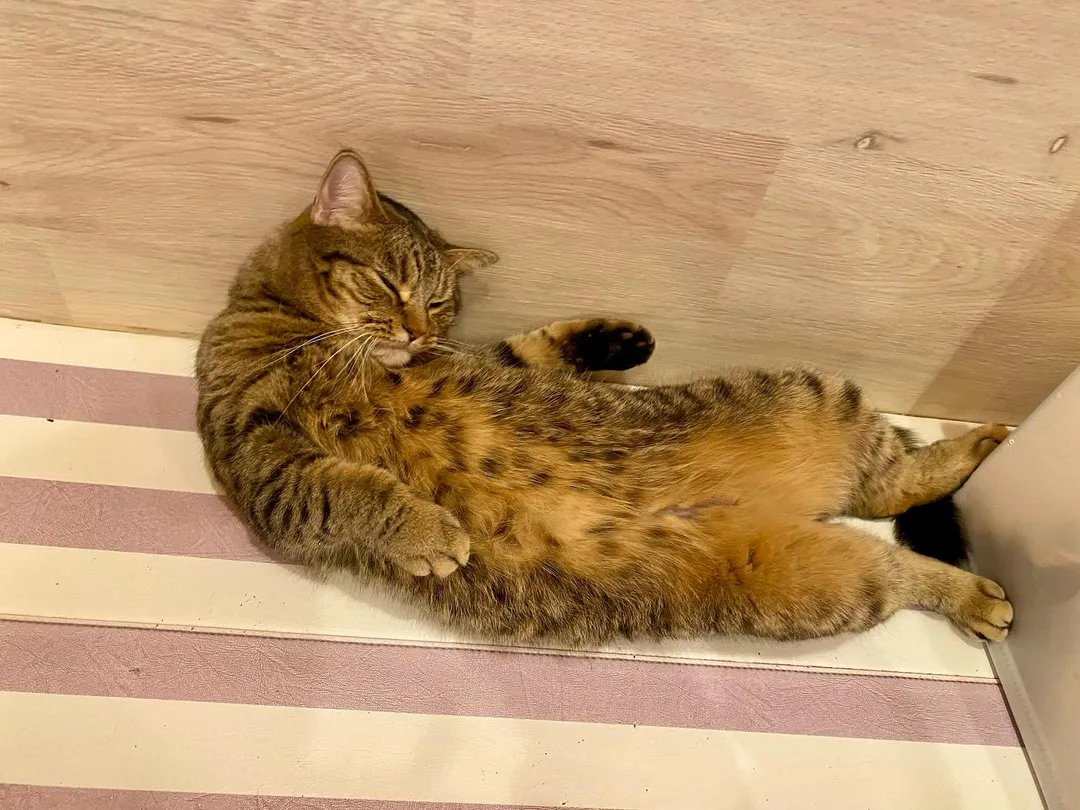 投稿の写真4