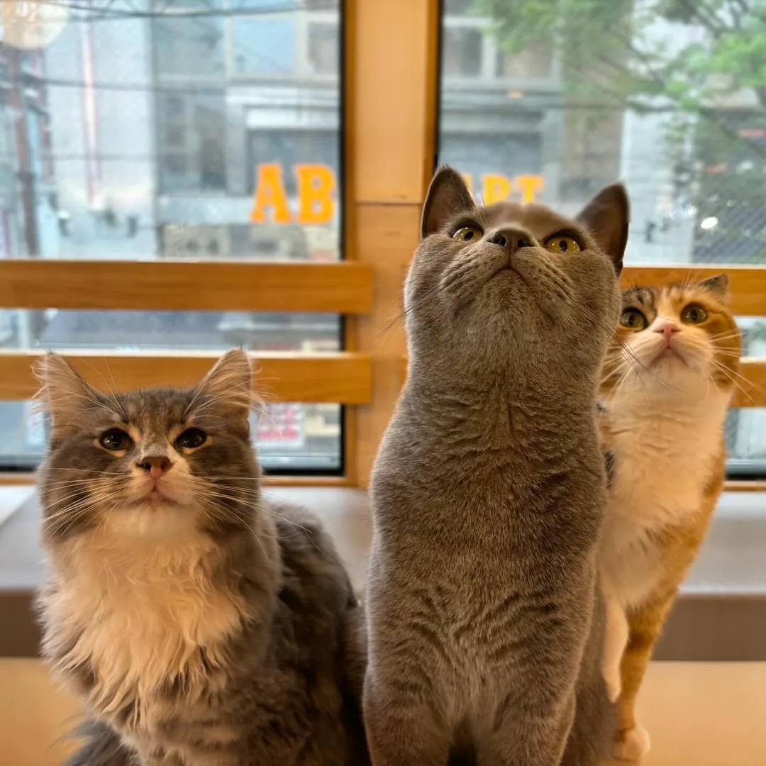 投稿の写真2