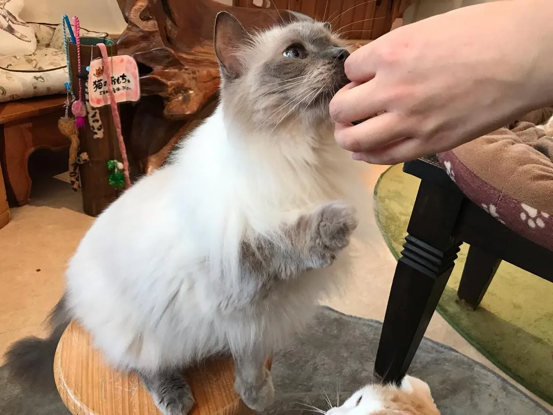 投稿の写真3