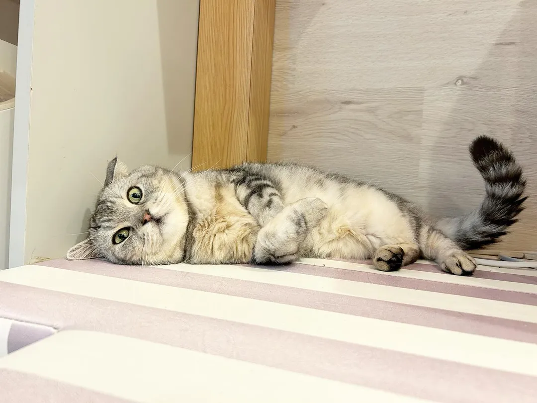 投稿の写真2