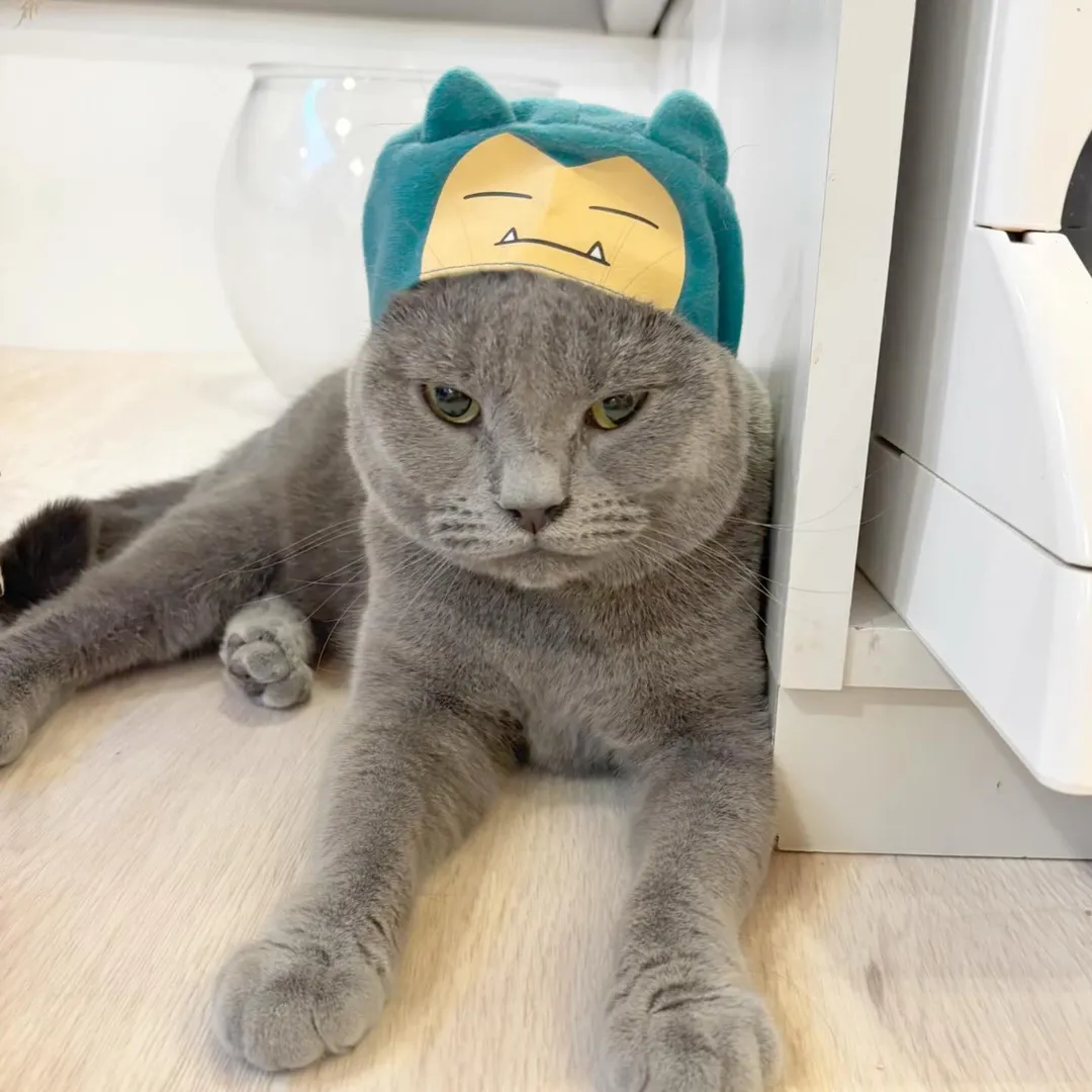 投稿の写真1