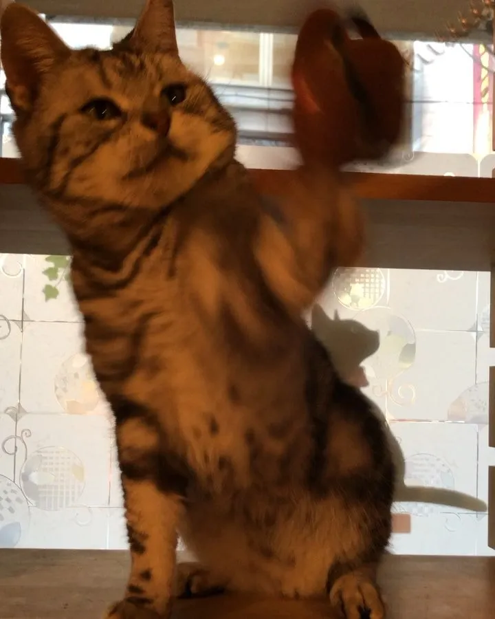 投稿の写真1