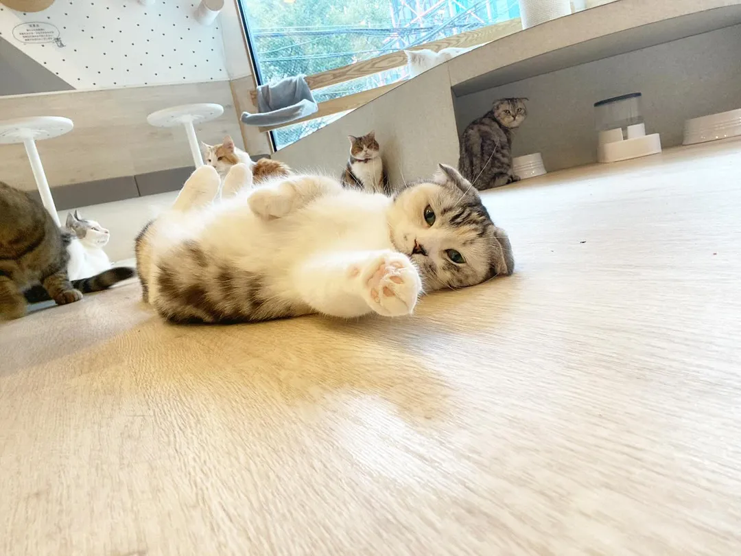 投稿の写真2