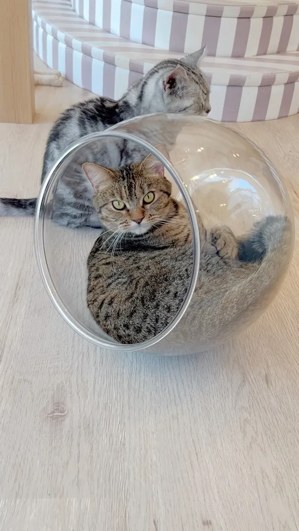投稿の写真