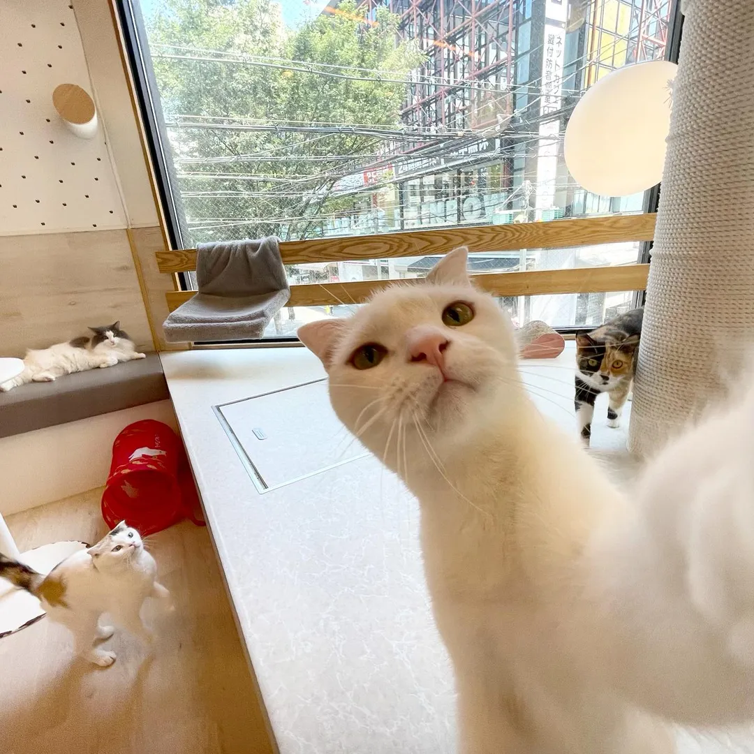 投稿の写真2