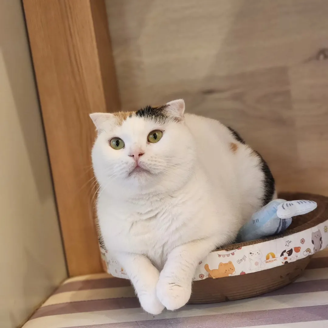 投稿の写真