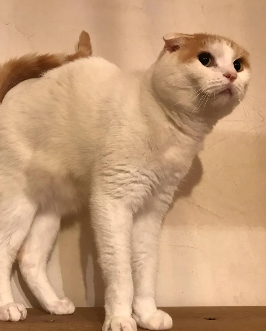 投稿の写真4
