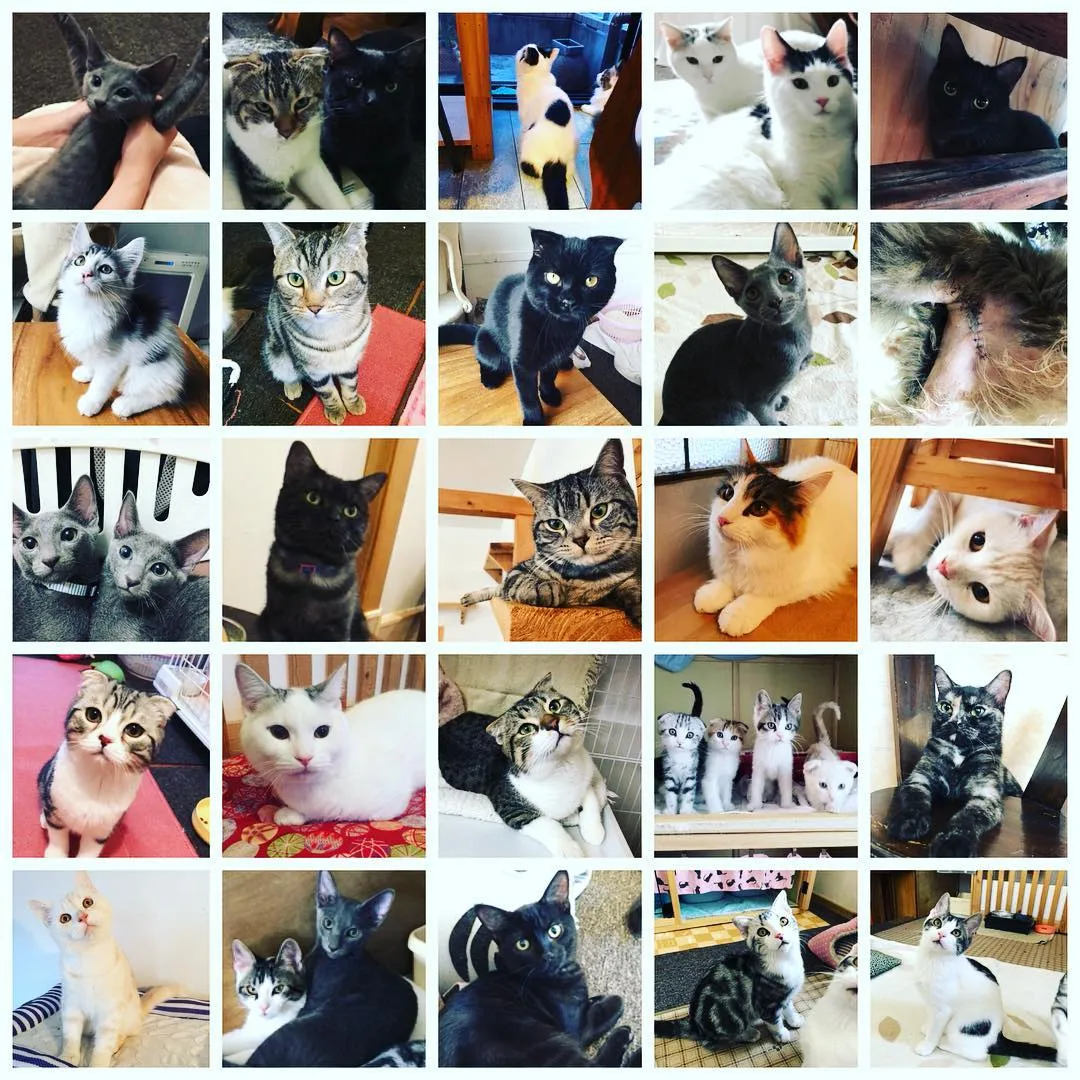 投稿の写真7