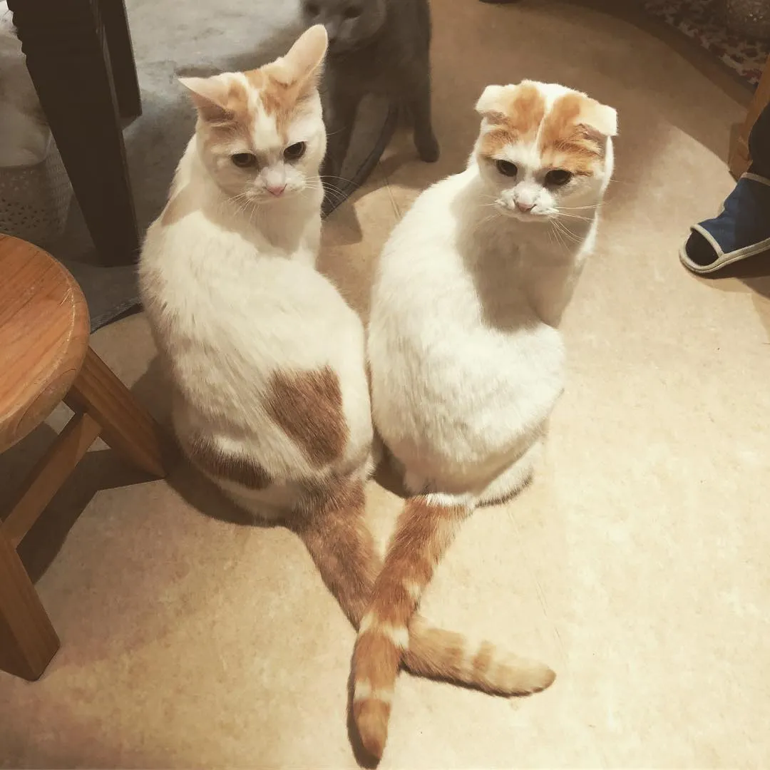 投稿の写真2