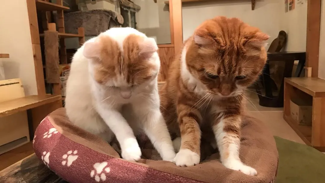 投稿の写真2
