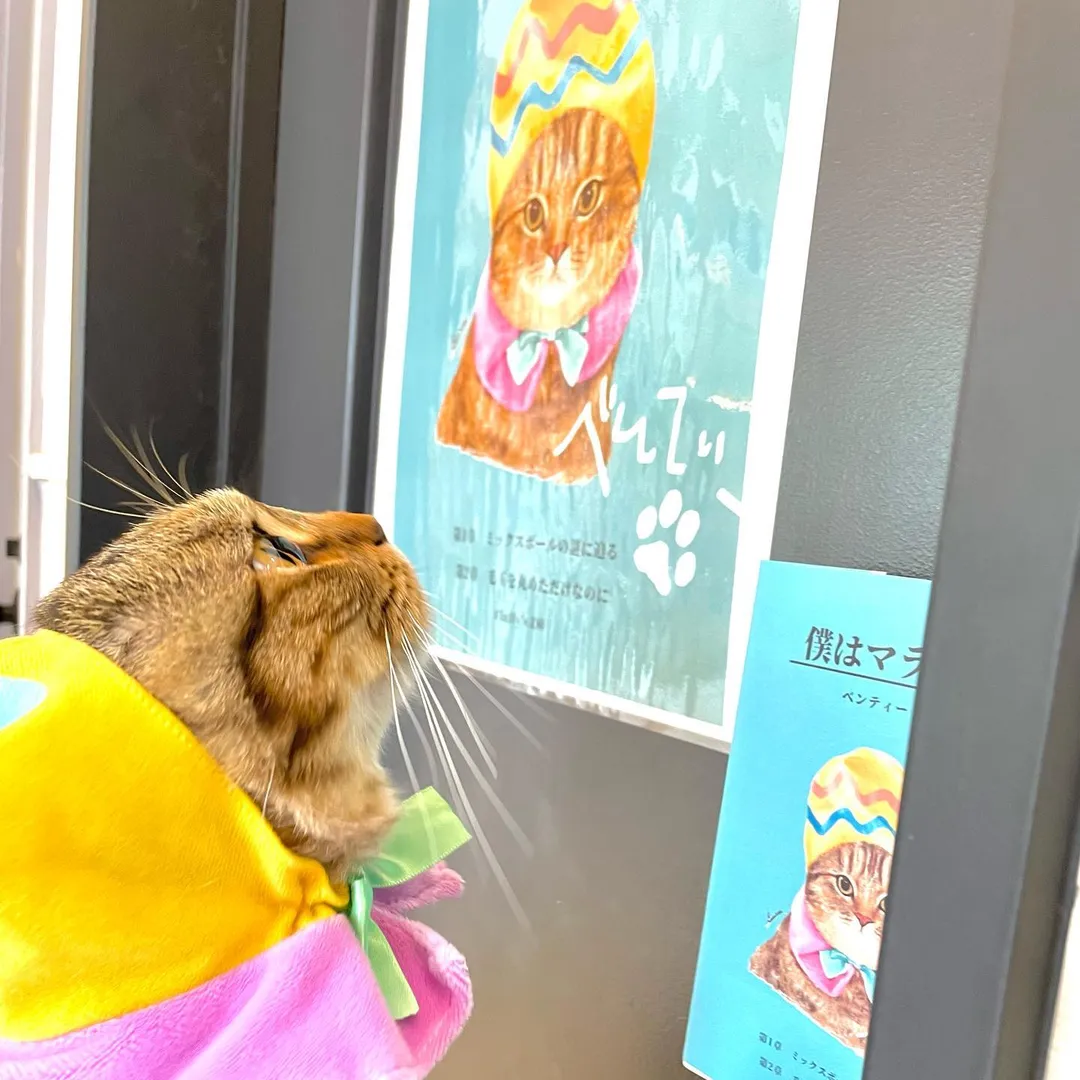 投稿の写真3