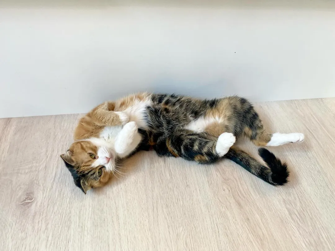 投稿の写真6