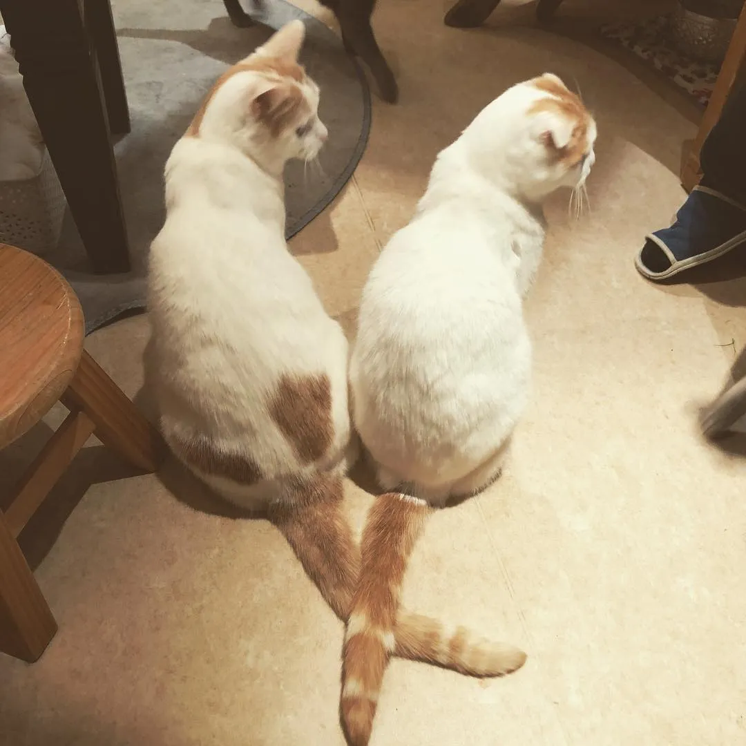 投稿の写真3
