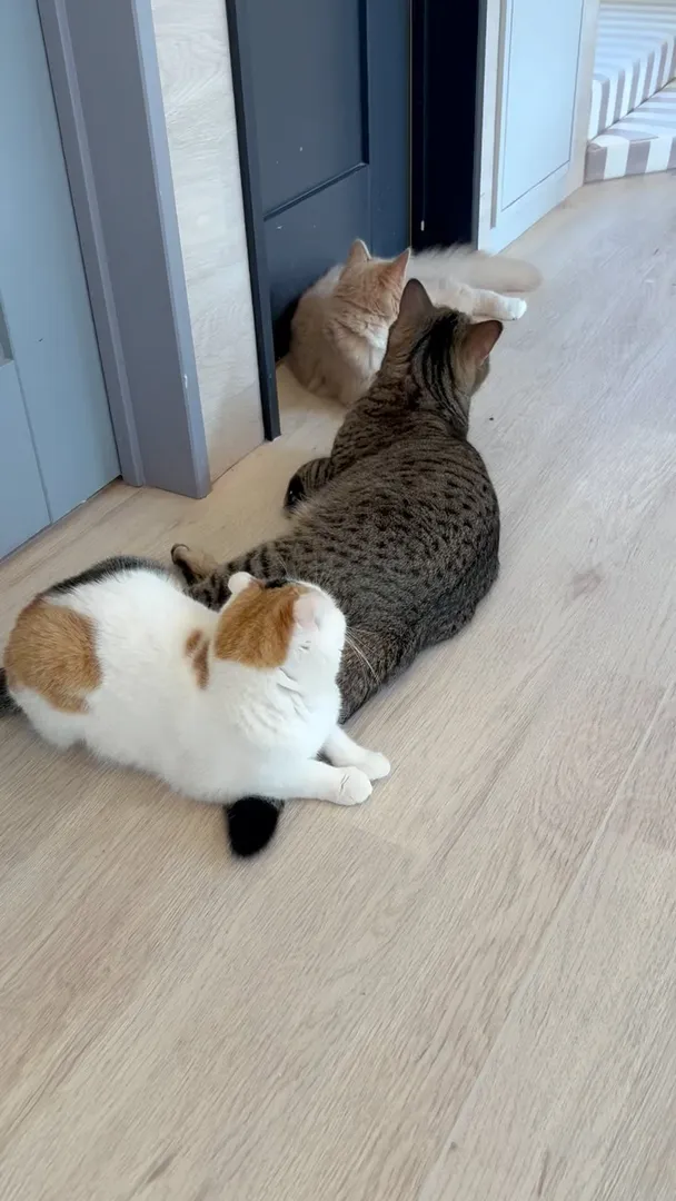 投稿の写真