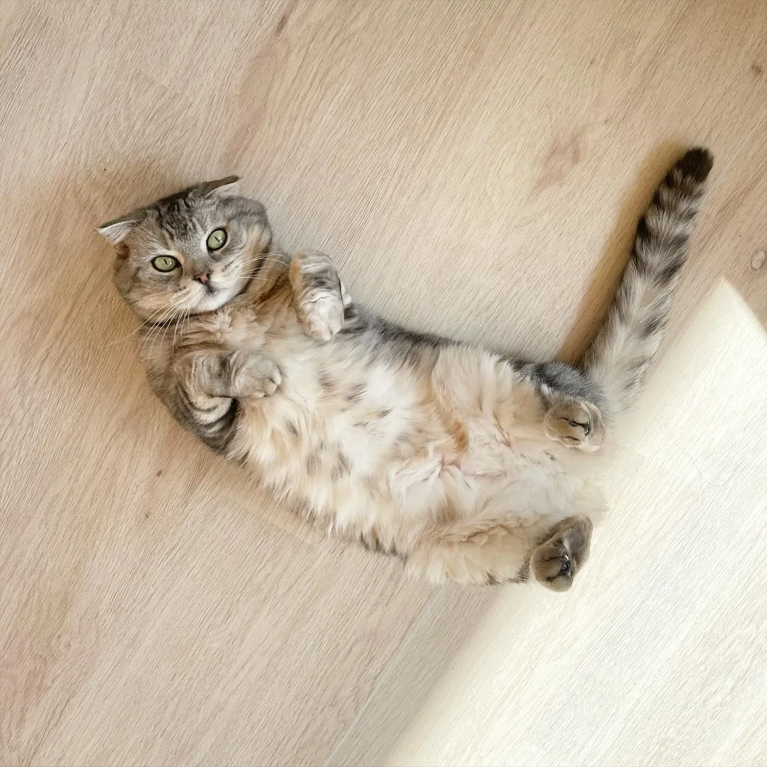 投稿の写真