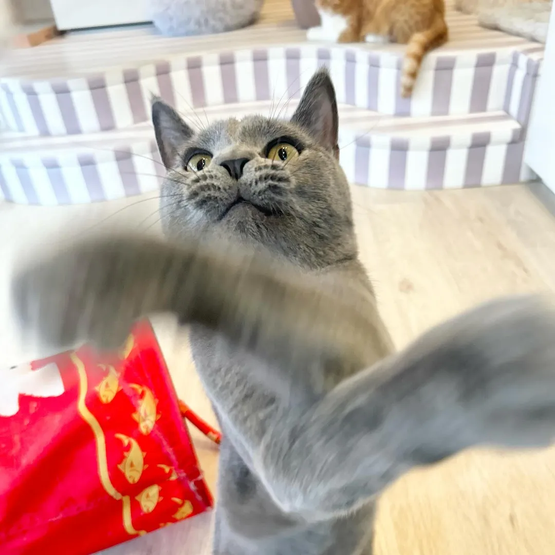 投稿の写真3
