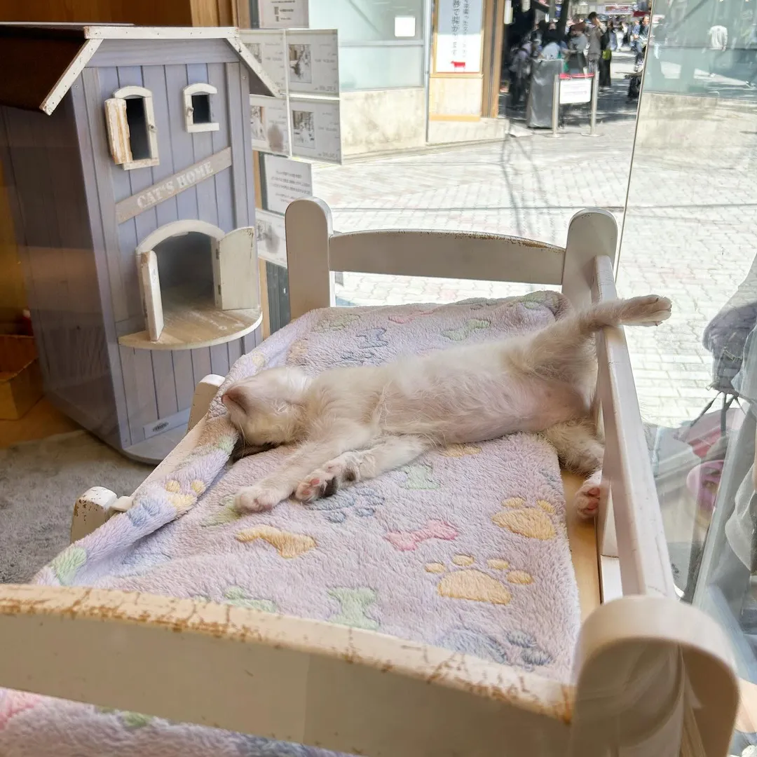 投稿の写真1