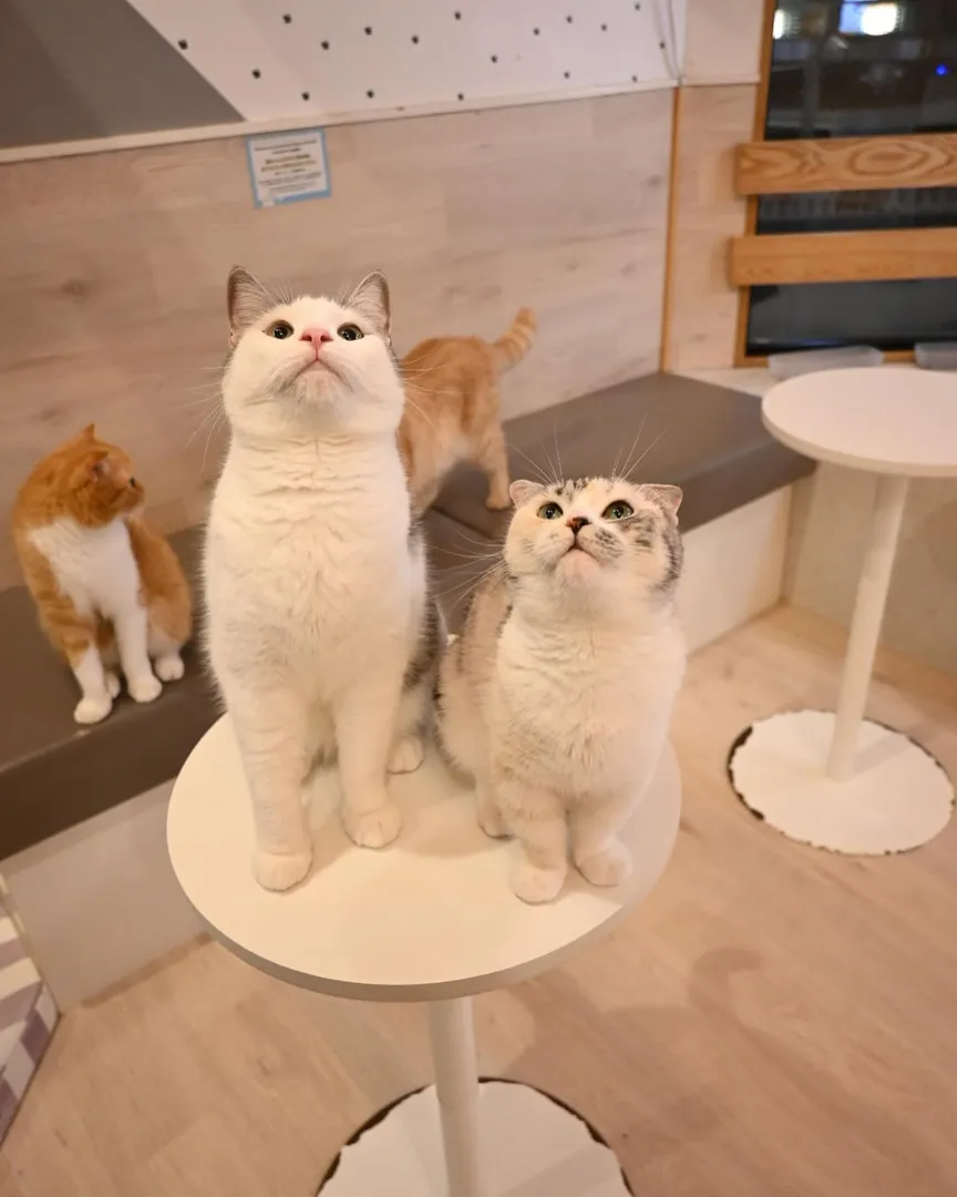 投稿の写真1