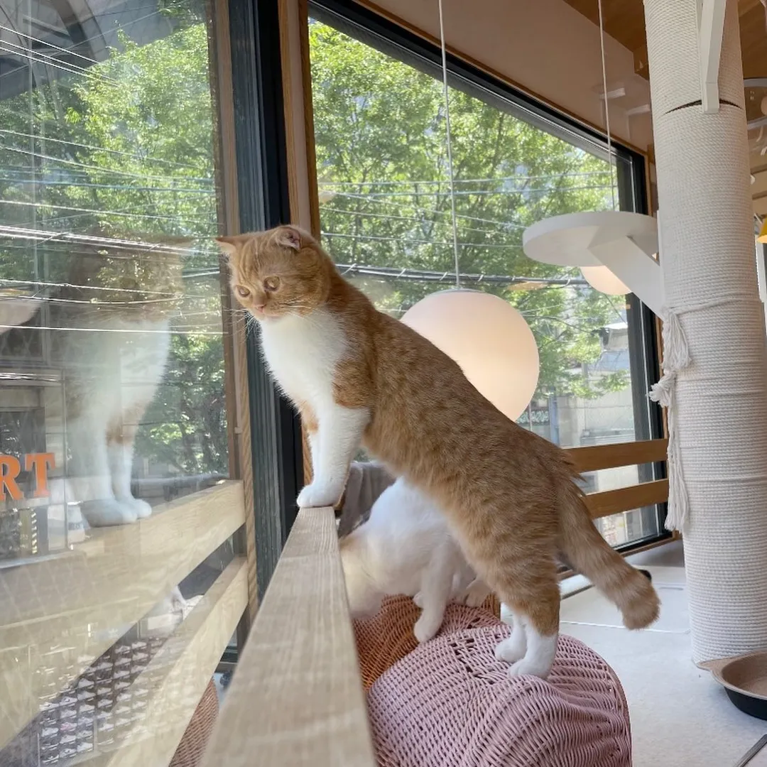投稿の写真3