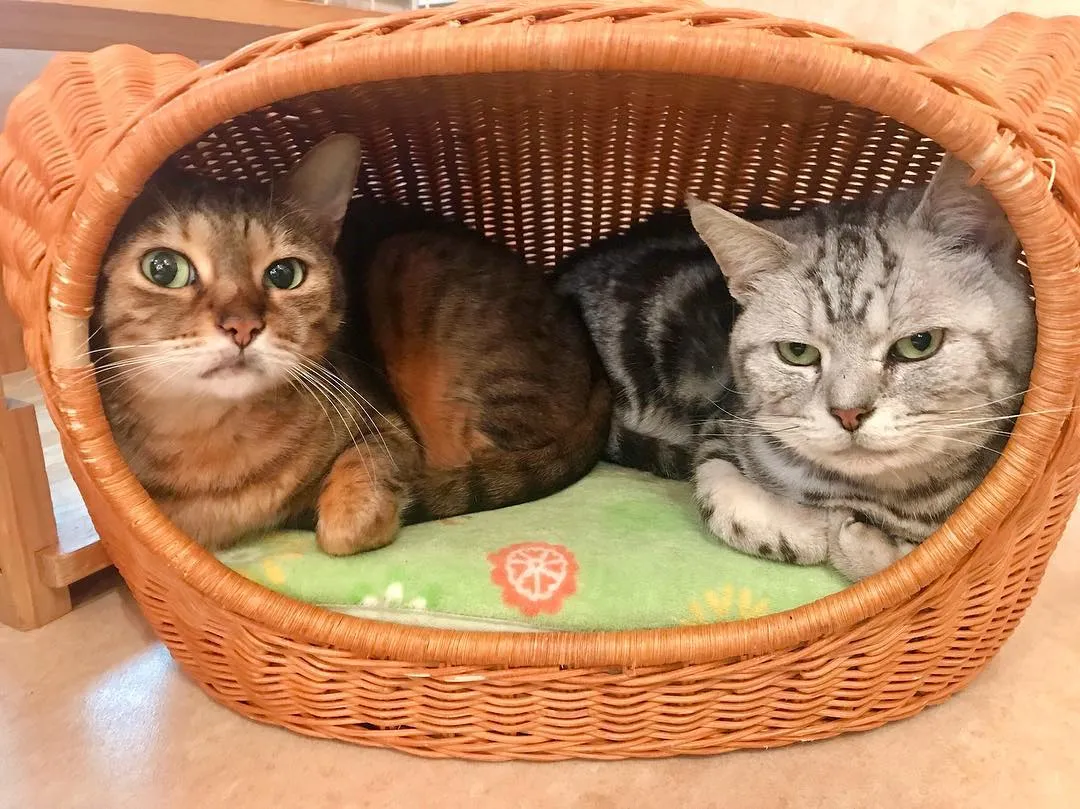 投稿の写真2