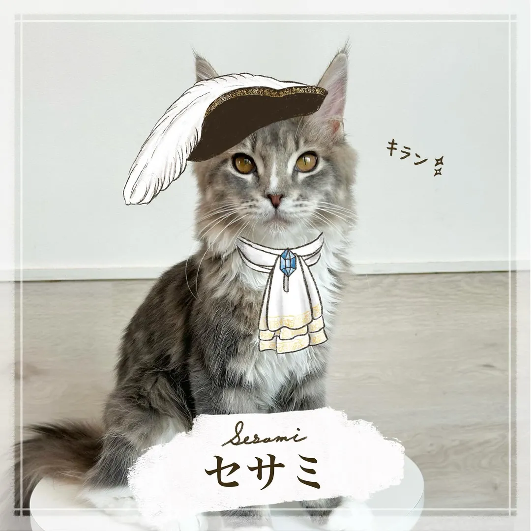 投稿の写真4