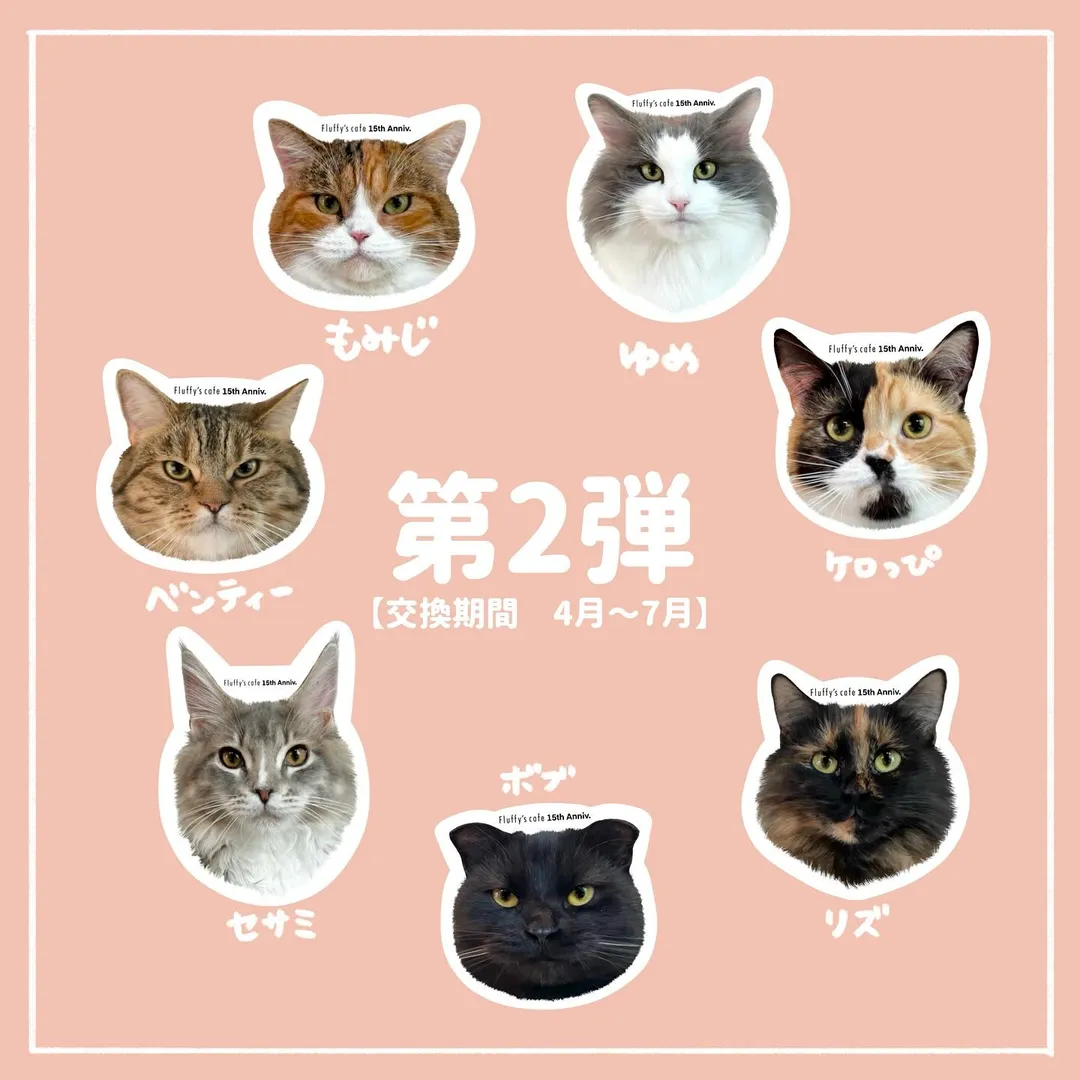 投稿の写真5