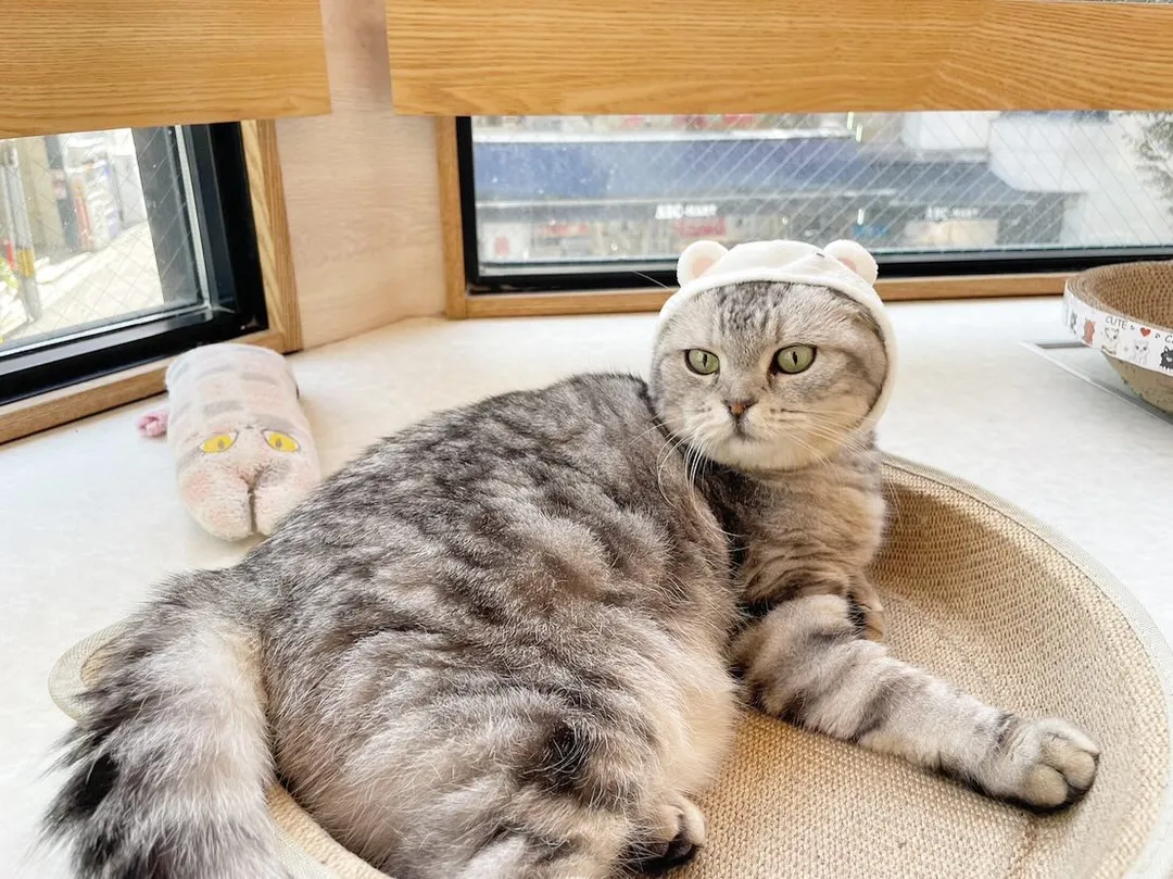 投稿の写真1