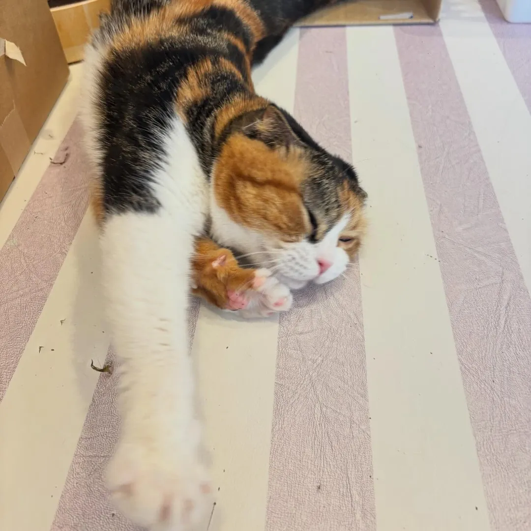 投稿の写真2