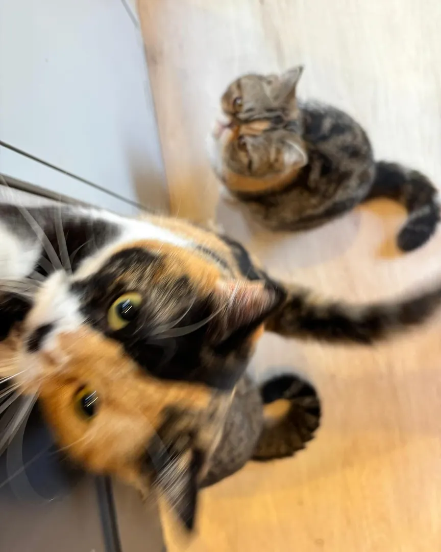 投稿の写真4