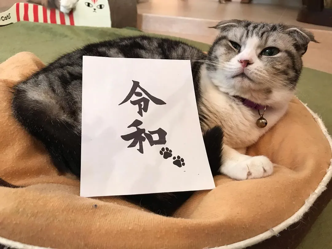 投稿の写真4