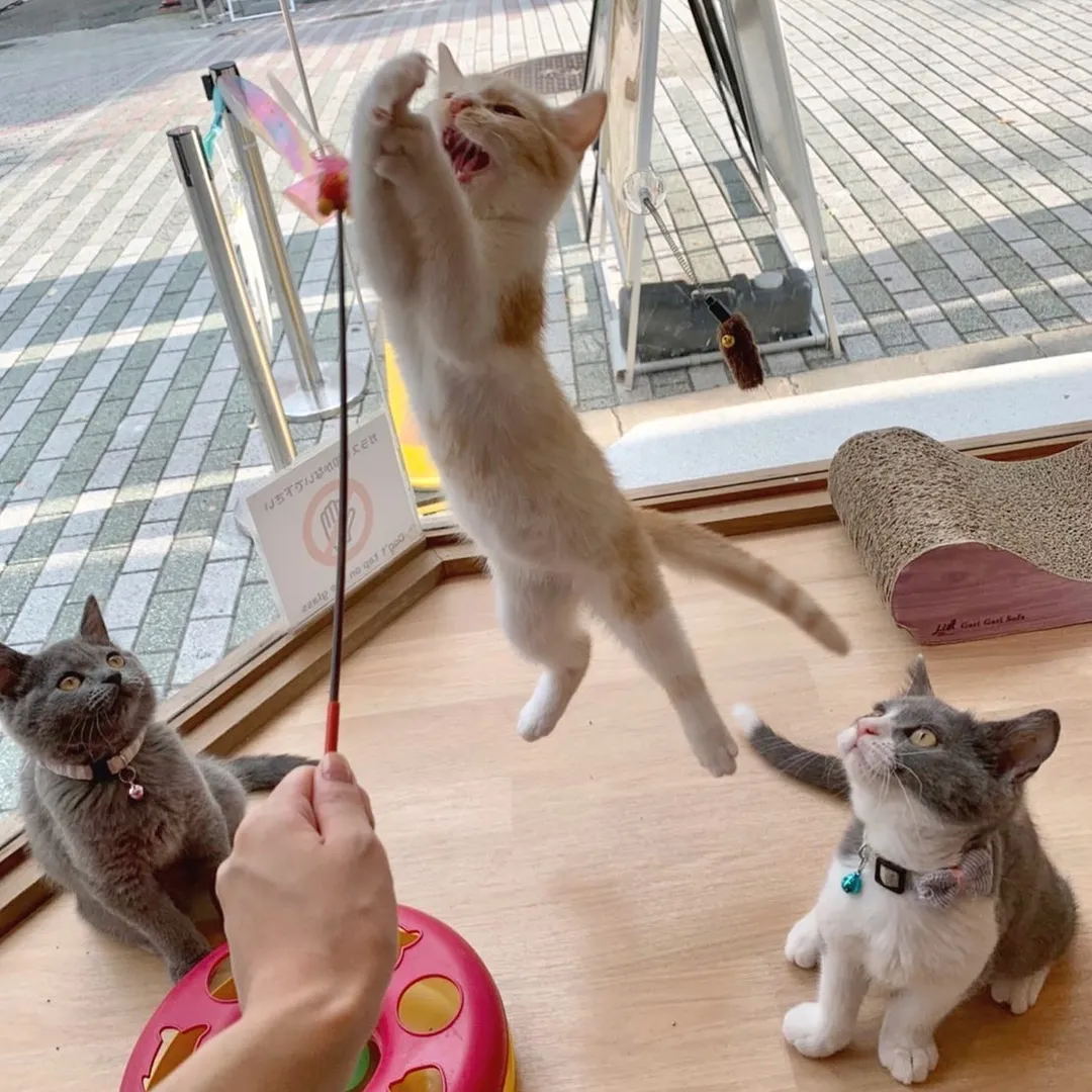 投稿の写真