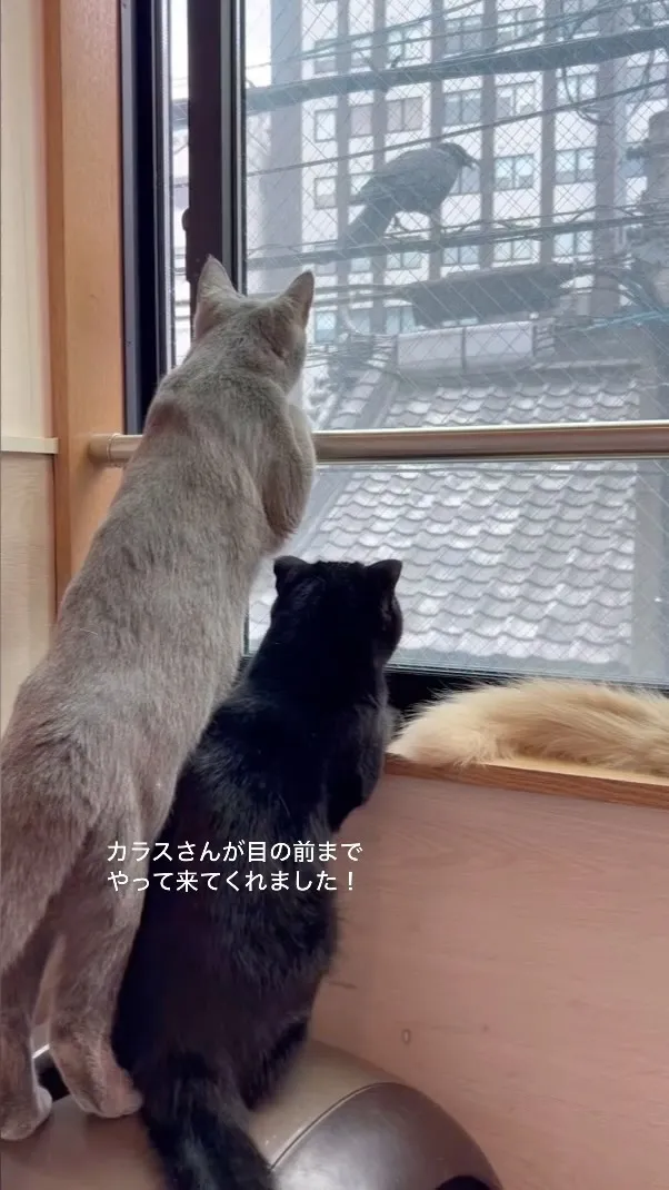 投稿の写真