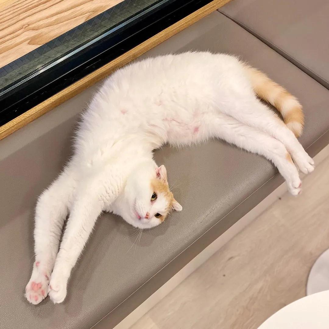 投稿の写真2