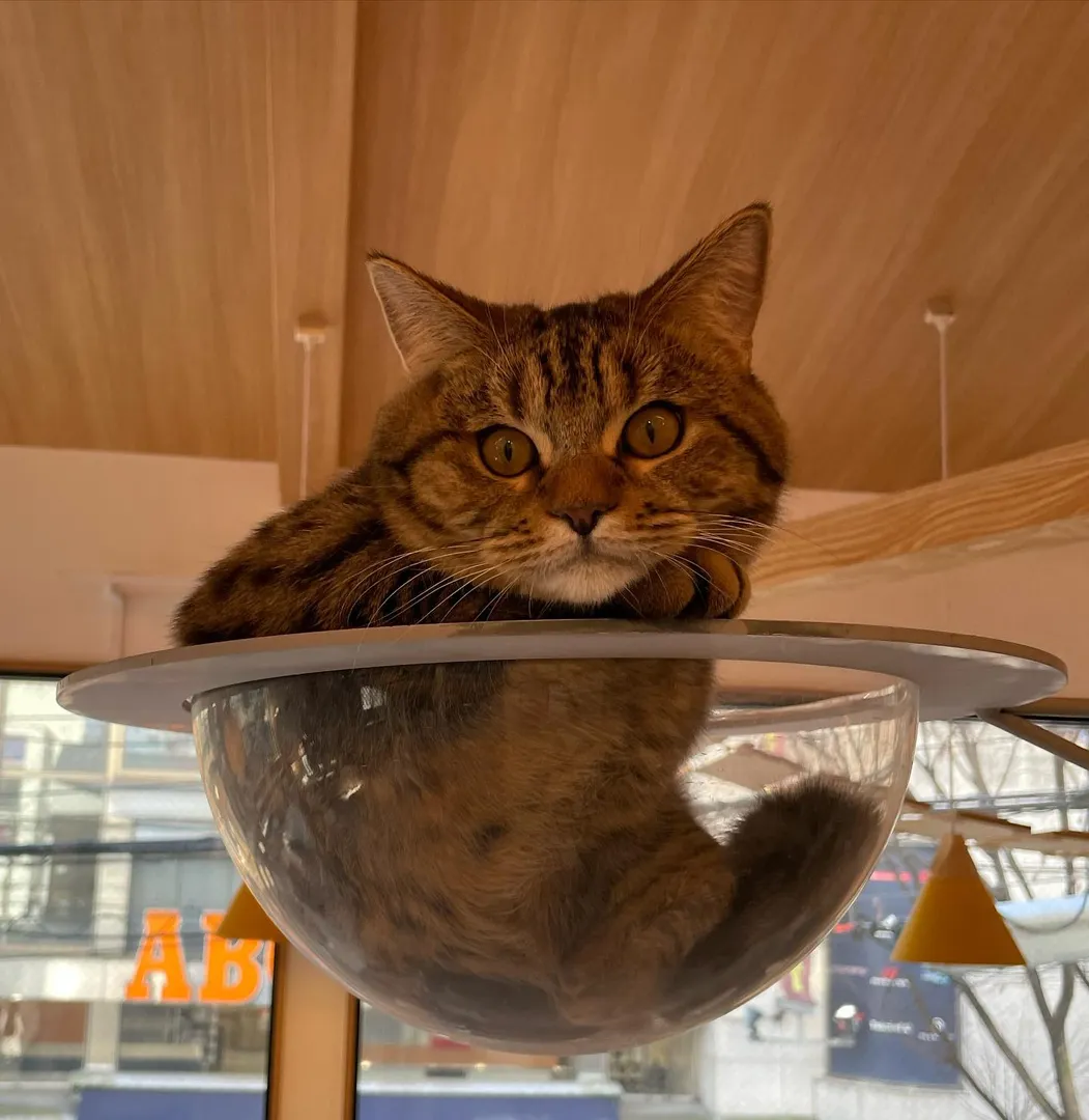 投稿の写真2