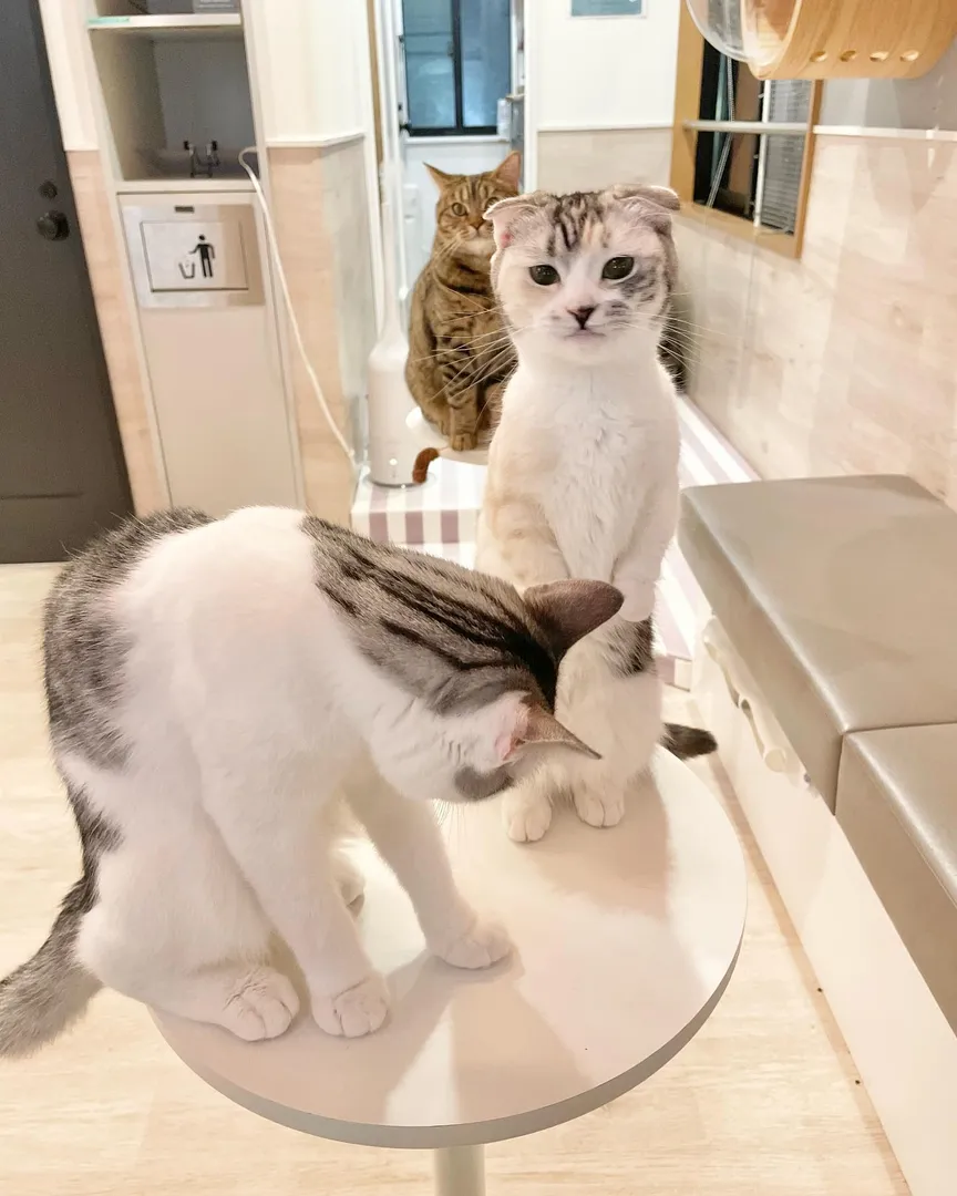 投稿の写真3