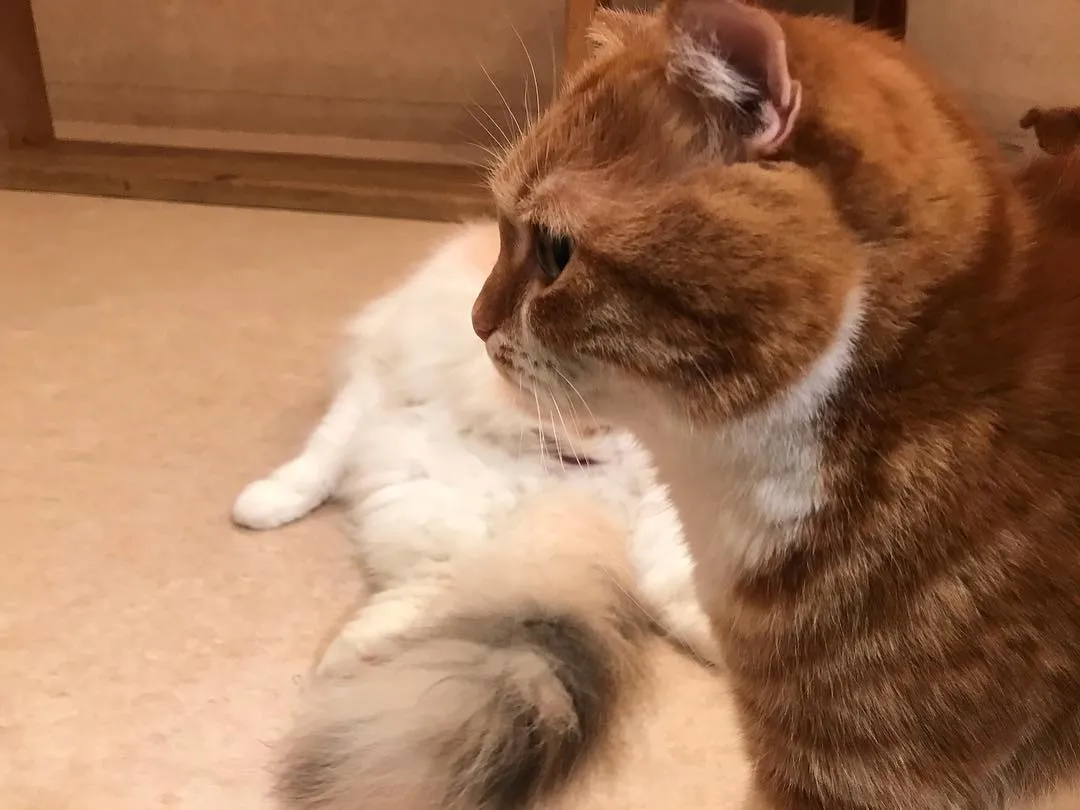 投稿の写真3