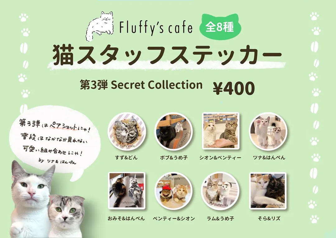 投稿の写真1