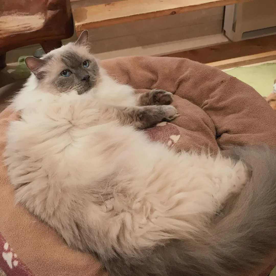 投稿の写真6