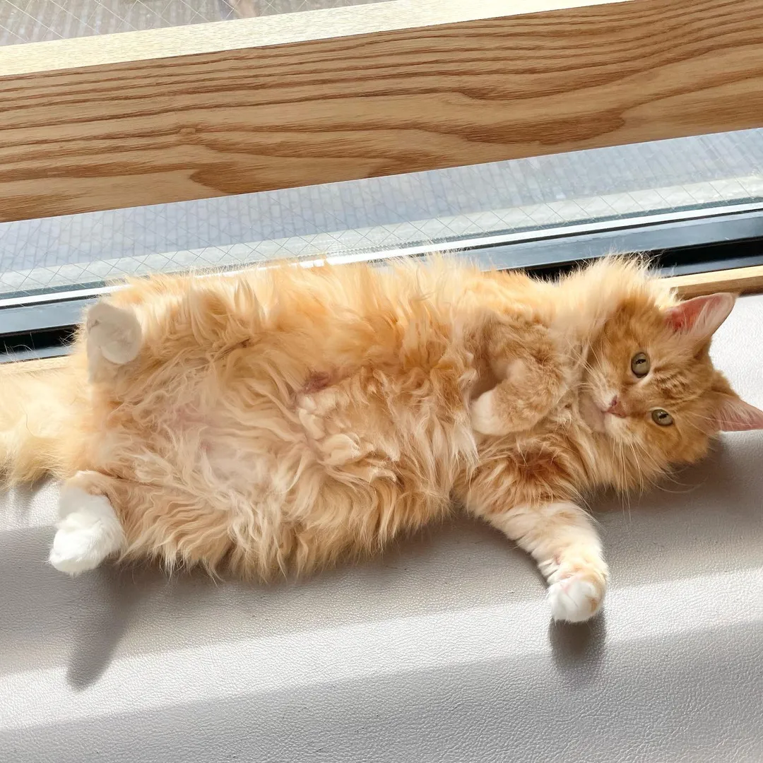 投稿の写真3