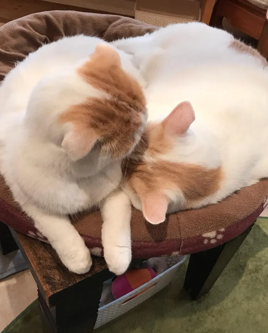 投稿の写真5