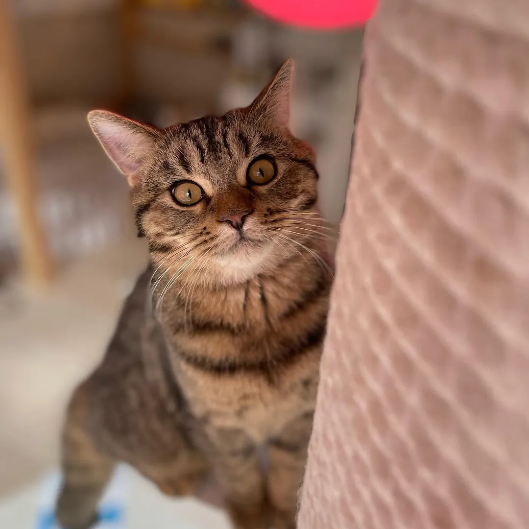 投稿の写真2