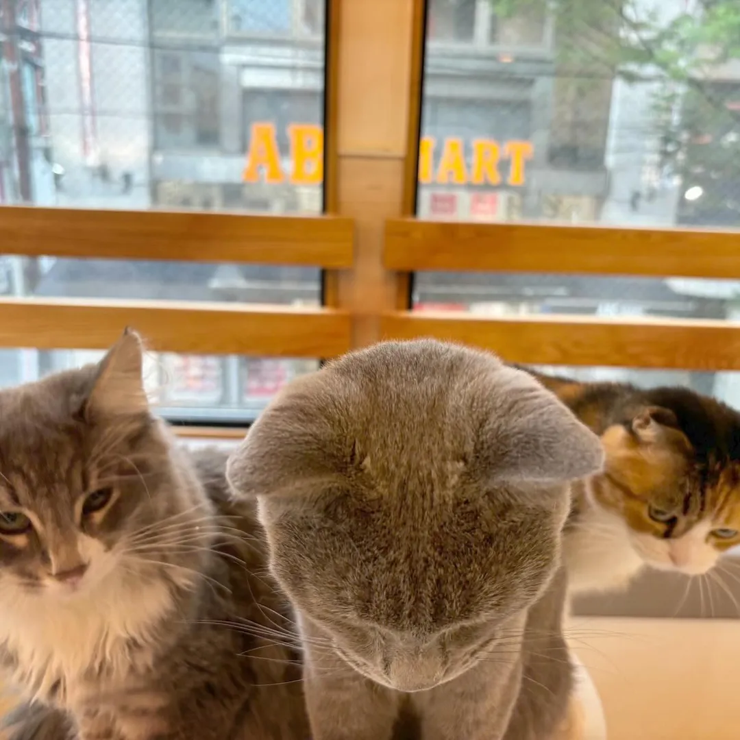 投稿の写真3