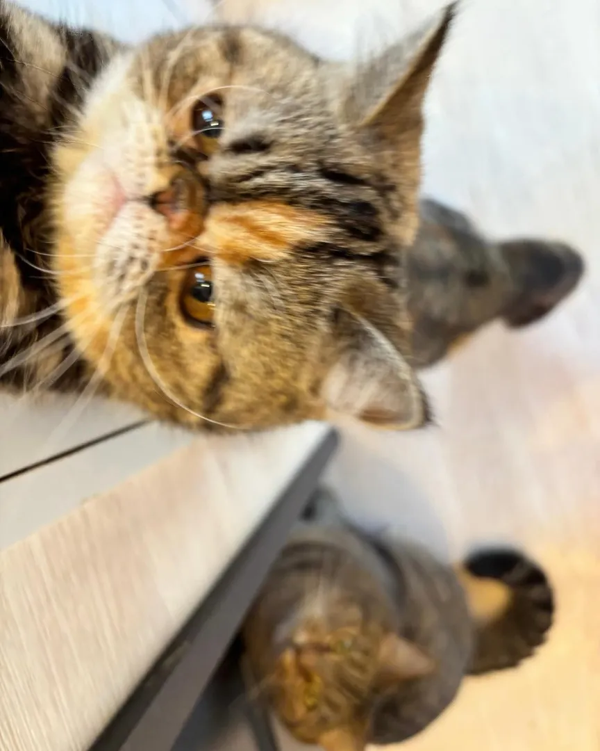 投稿の写真6