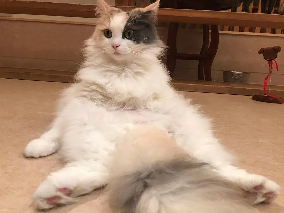 投稿の写真2